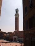 Tower in Sienna square