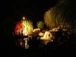 Pond at Night 2