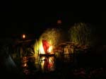 Pond at Night