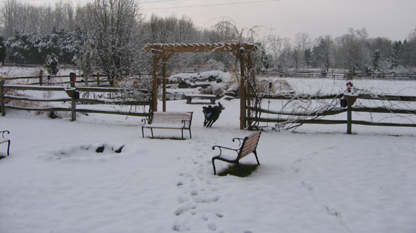 Stagshead SnowThor 2 January 2008