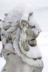Entry Lion in Winter_39