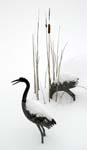 Snow Cranes