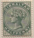 009 1898 Gray Green