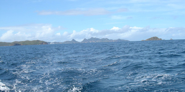 Grenadines Deadly Beauty