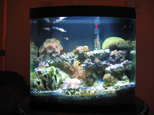 Marine tank 3