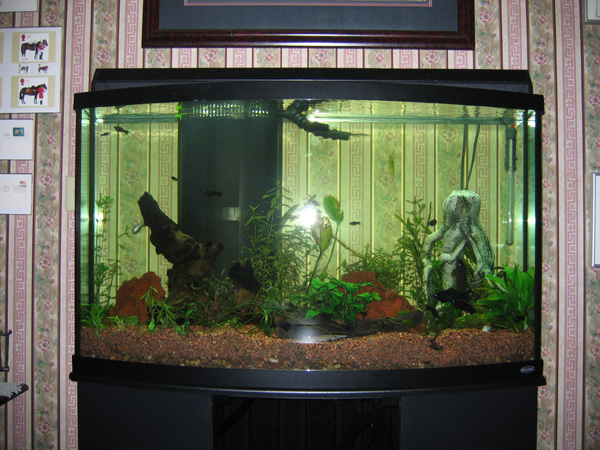 Marine tank 5