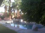 Palm Springs backyard 022010