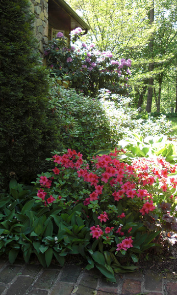 Mothers Day 2009 Front Entry 2_81