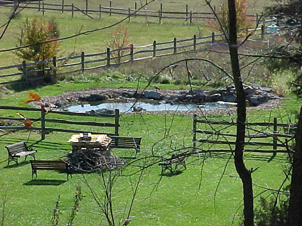 Pond before construction