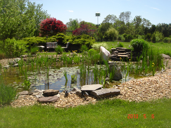 Pond1